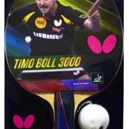 Timo Boll 3000-with 2 TT balls and Cover Table Tennis Kit-image-84