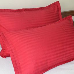 Cotton Pillows Cover-image-92