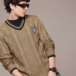 Men Self Design V Neck Brown Sweater-image-31
