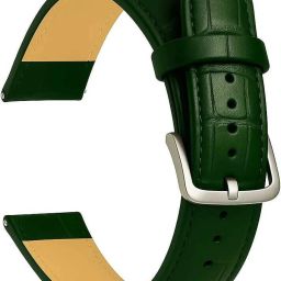 RStraps 24mm Croc Green Genuine Leather Watch Strap Belt for Men | Replacement Band 24 mm Genuine Leather Watch Strap-image-119