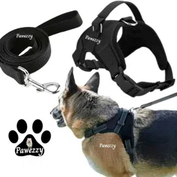 Dog Harness & Leash-image-78