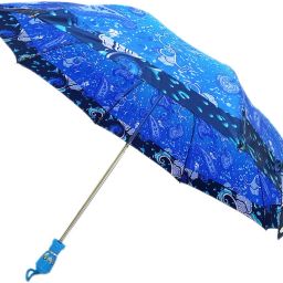 2 Fold Umbrella for Women & Men Rain Proof Ladis Umbrella(A20) Umbrella-26
