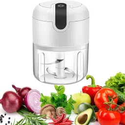 Rechargeable Electric Garlic & Food Chopper (250ml) Electric Vegetable & Fruit Chopper-image-34
