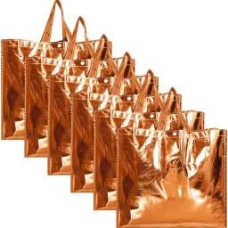 Non Woven Reusable Vegetable Grocery Bag|Small Size|Pack of 6|Copper Pack of 6 Grocery Bags-image-6