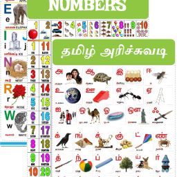 Tamil Alphabets, English Alphabets & Numbers Chart for Kids 47x65 cm (19x26 Inch) Mega Size (3 Charts ) - Tamil Arichuvadi Laminated Early Learning Education Wall Picture Chart Fine Art Print-image-1