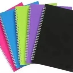 Pack of 5 A5 Diary Ruled 30 Pages-24