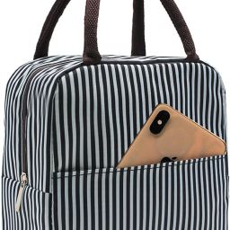 Insulated Lunch Bag For Kids , Men, Women To School And Office(Multicolor) Waterproof Lunch Bag-image-86