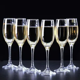 (Pack of 6) pp-13-1 Classic Tulip Champagne and Wine Glass 180ml Glass Water/Juice Glass-4