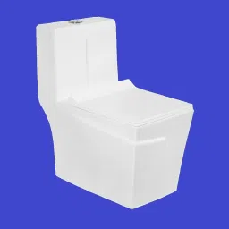 Rimless One Piece Western Toilet Rimfree EWC Floor Mounted S Trap 225mm / 9 Inch Western Commode-16