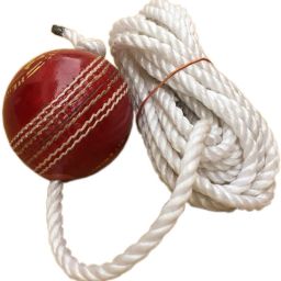 Om Season Hanging Ball Cricket Training Ball-picture-24
