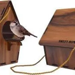Bird House or Bird Nest Box 2 Piece Bird House (Pack Of 2) Bird House-picture-26