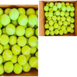 JS _310Pack of 6 Tennis Ball-image-80