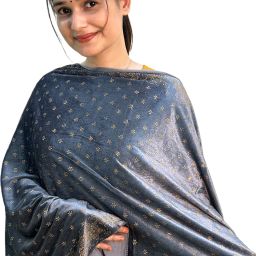 Velvet Embellished Grey Women Dupatta-image-64
