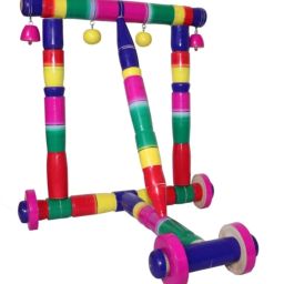 Activity Walker-1