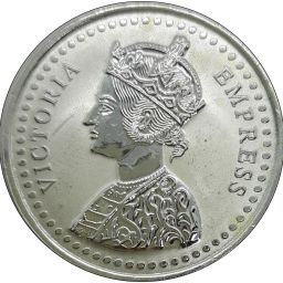 COIN-333 S 999 50 g Silver Coin-image-43