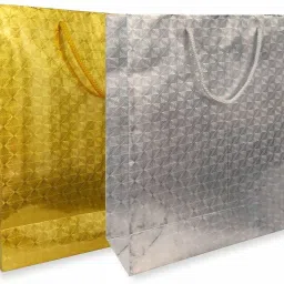 Printed Party Bag-19