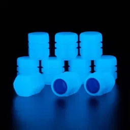 Plastic Tyre Valve Cap for Car-image-77