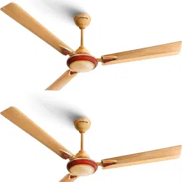Starlite-1 P2 1200 3 Blade Ceiling Fan-image-28