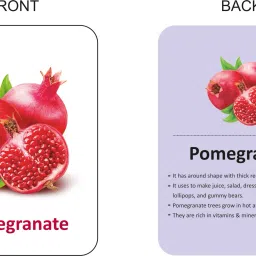 gurukanth Alphabets Flash cards, Fruits Flash cards,Color and Shape Flash cards (Combo Pack) Easy & Fun way of Learning-3yr-6yr Kids (Set of 3) image 3