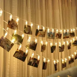 20 LEDs 5 m Gold Steady Clip Rice Lights-11