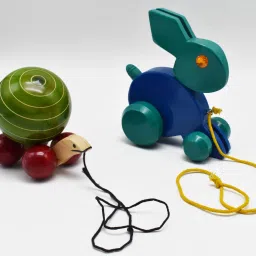 Wooden Rabbit Pull Along Toy |Turtle | TortoiseFor Kids-36