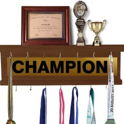 Champion LARGE MEDAL HOLDER Wooden Wall Shelf-image-71