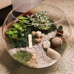 Crystal Clear Glass Fish or Terrarium Round Bowl fish bowl w/c 4" Glass Vase-image-79
