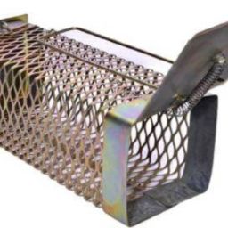 Snap Trap Snap Trap-27