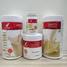 F1 KULFI SHAKE 500GM-PROTEIN POWDER200GM-AFRESH ENERGY DRINK LEMON -SHAKEMATE Nutrition Drink-image-69