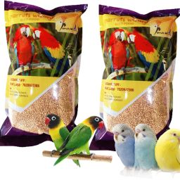 fresh kangani 2 pack 1.9 kg (2x0.95 kg) Dry New Born, Adult, Young, Senior Bird Food-picture-7