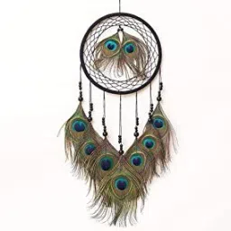 Dream Catchers Wall Hangings With Lightening & Decoration Items For Positivity Feather Dream Catcher-image-44
