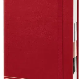 Hard Bound Leather Cover Executive Diary 2025 with Dates and Monthly Planner A5 Diary Ruled 344 Pages-picture-7