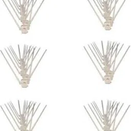 Bird Spike-picture-29