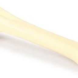 Plastic Bone For Dog-image-95