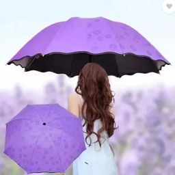 Magic Umbrella (Multicolor) Umbrella-image-5