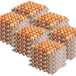 dsom Egg holder Egg Holder-picture-18