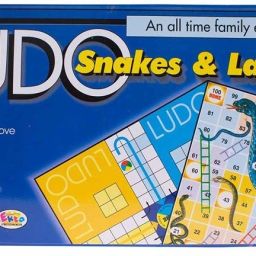 Ludo Educational Board Games-image-11