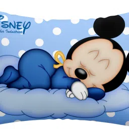 Microfibre Toons & Characters Cushion Pack of 1-8