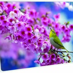 Galaxsia Floral D128 Vinyl Laptop Skin/Sticker/Cover/Decal Compatible vinyl Laptop Decal 14-image-89