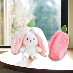 Soft Toy Bunny Plush,Rabbit with Zipper, Reversible Bunny- 10 inch-11