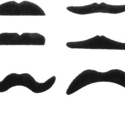 Pencil Fake Moustache-image-61