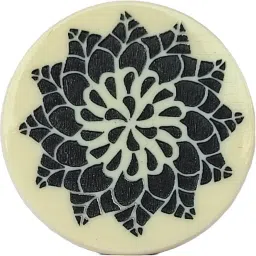 Phenolic Resin Carrom Striker-picture-1