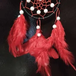 NLDC 21 Feather Dream Catcher-image-34