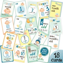 Baby Monthly Age Milestone Card Greeting Card-15