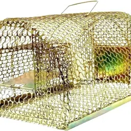 Rat trap to catch rats, which are common pests in the world. Live Trap-image-79
