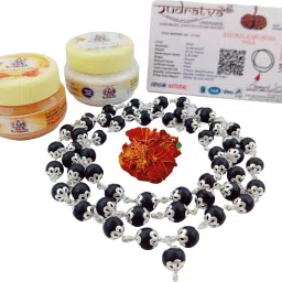 Karungali GS Malai with 2 Lab Certification - 8mm ( 54+1 Beads )/ Wood Necklace-image-17