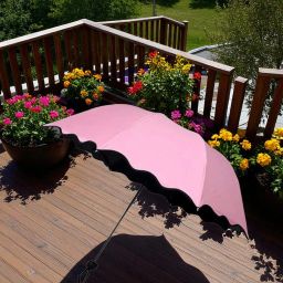 Travel Compact Magic Umbrella 3 Fold Umbrella for Girls, Women_099176 Umbrella-image-37