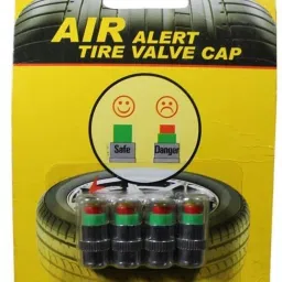Iron Tyre Valve Cap for Car-image-96