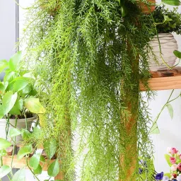 Artificial Plant-38