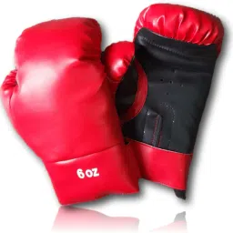 For Kids 8 years to 10 Years Age Boxing Gloves-image-77